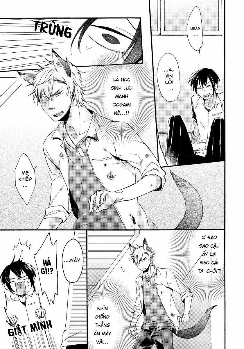 Oogami Yêu Dấu Của Tôi! 1 trang 6