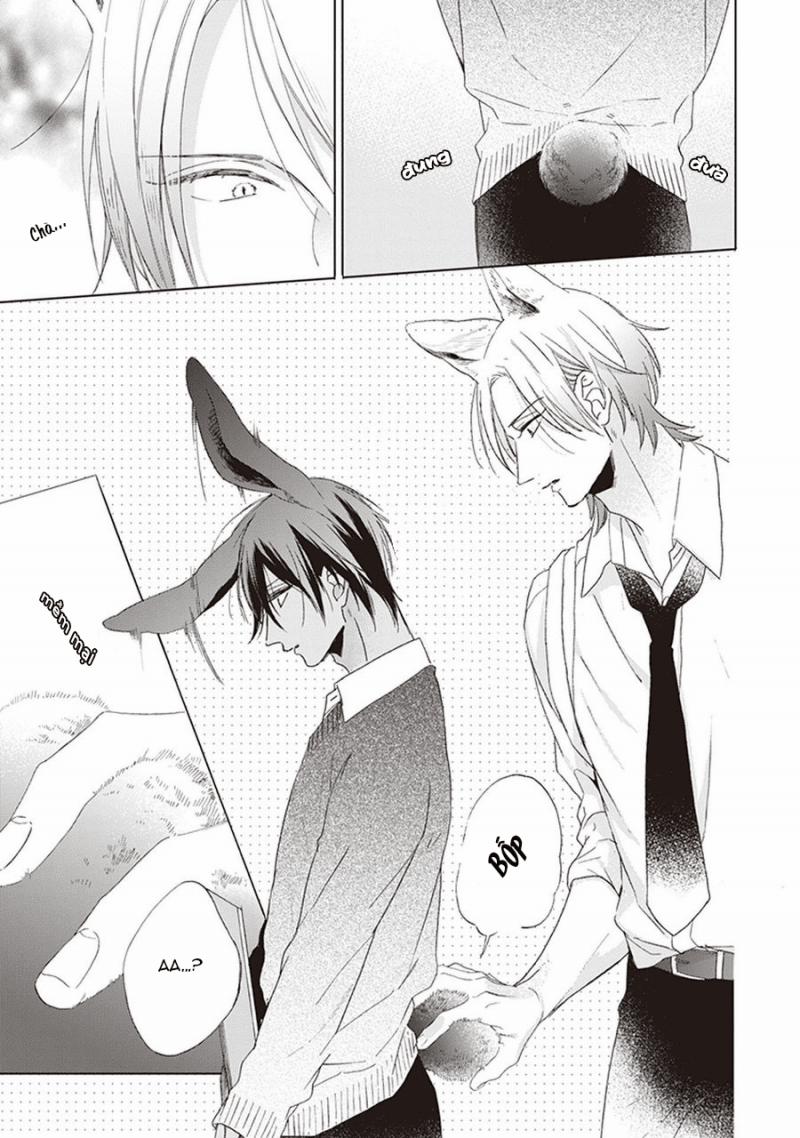 Ookami-kun không đáng sợ chút nào 1 trang 12