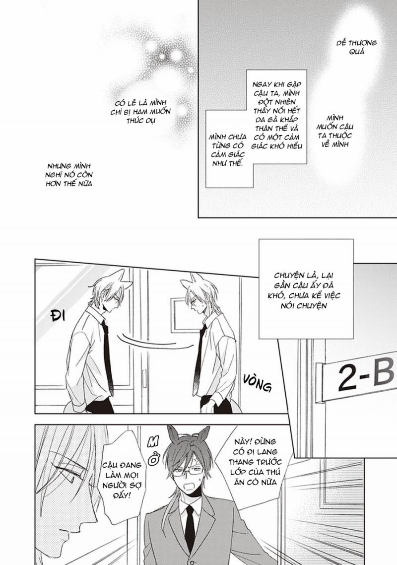 Ookami-kun không đáng sợ chút nào 1 trang 19