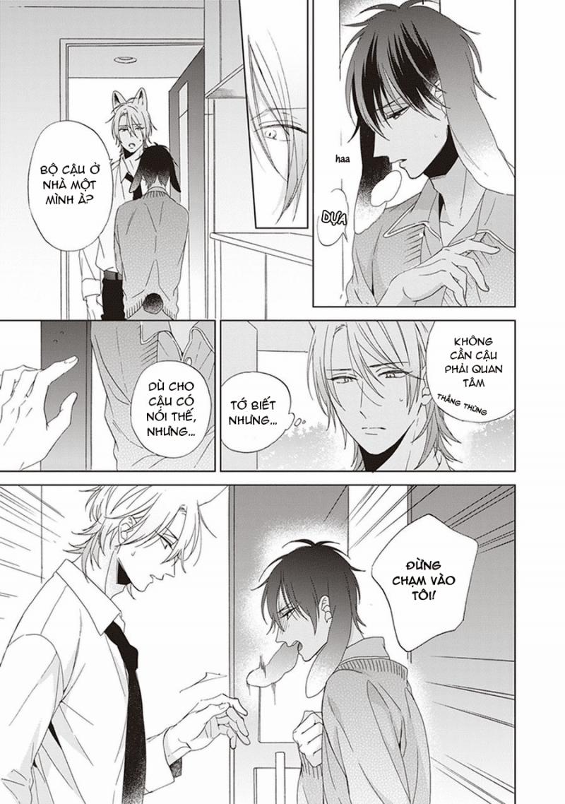 Ookami-kun không đáng sợ chút nào 1 trang 24