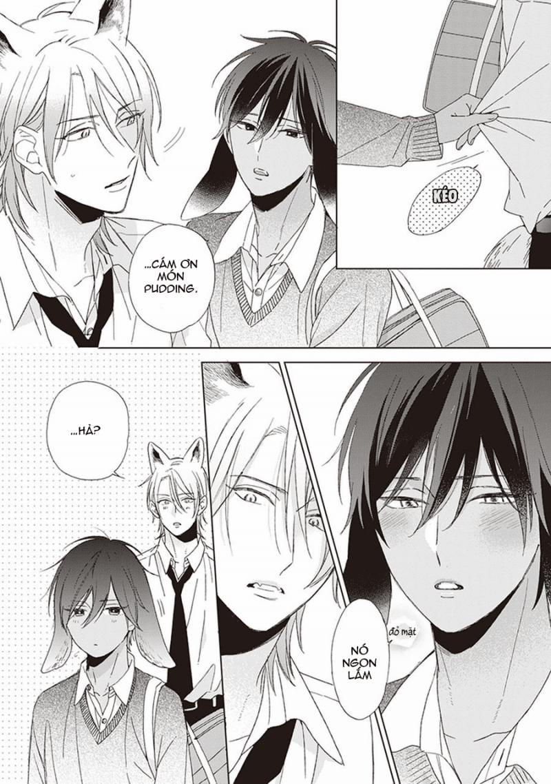 Ookami-kun không đáng sợ chút nào 1 trang 37