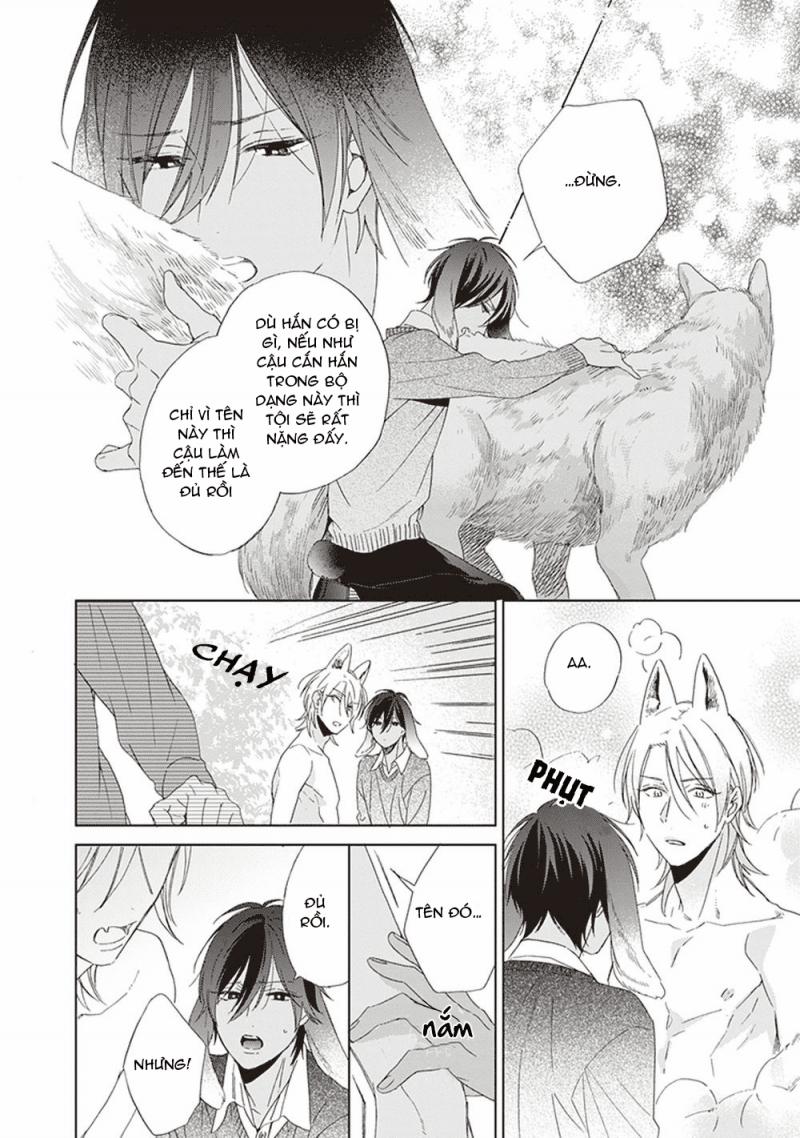 Ookami-kun không đáng sợ chút nào 2 trang 21