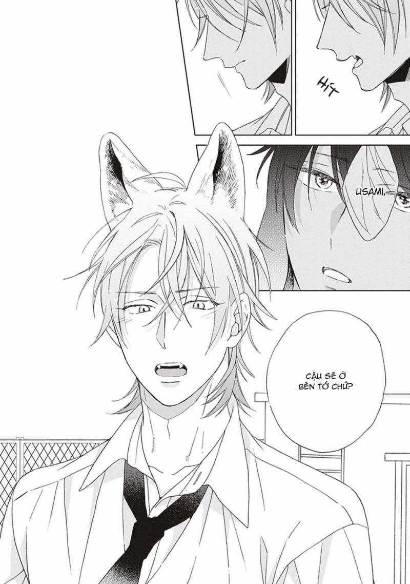 Ookami-kun không đáng sợ chút nào 5 trang 19