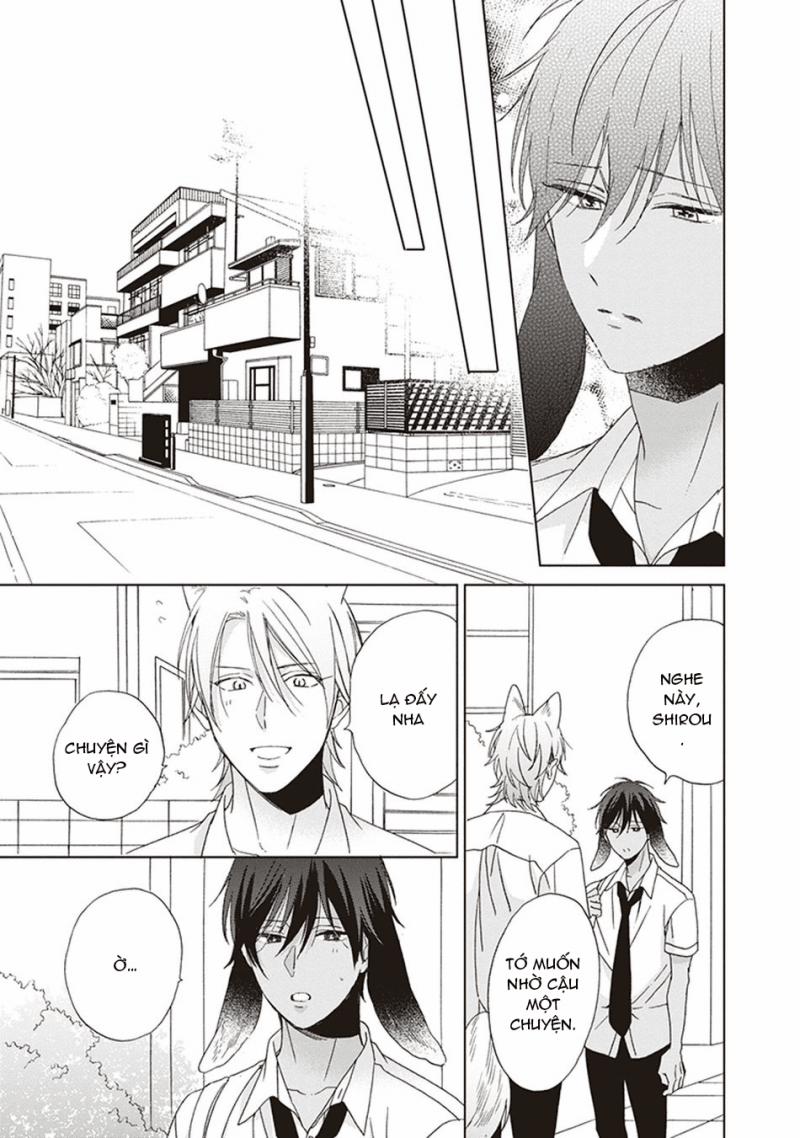 Ookami-kun không đáng sợ chút nào 5 trang 24