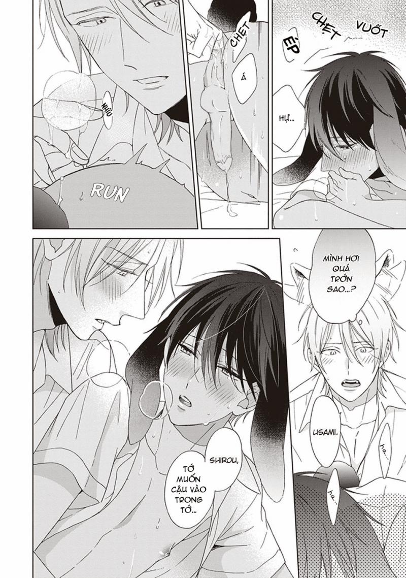 Ookami-kun không đáng sợ chút nào 5 trang 31