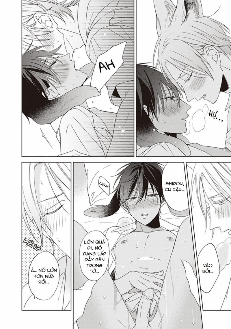 Ookami-kun không đáng sợ chút nào 5 trang 33