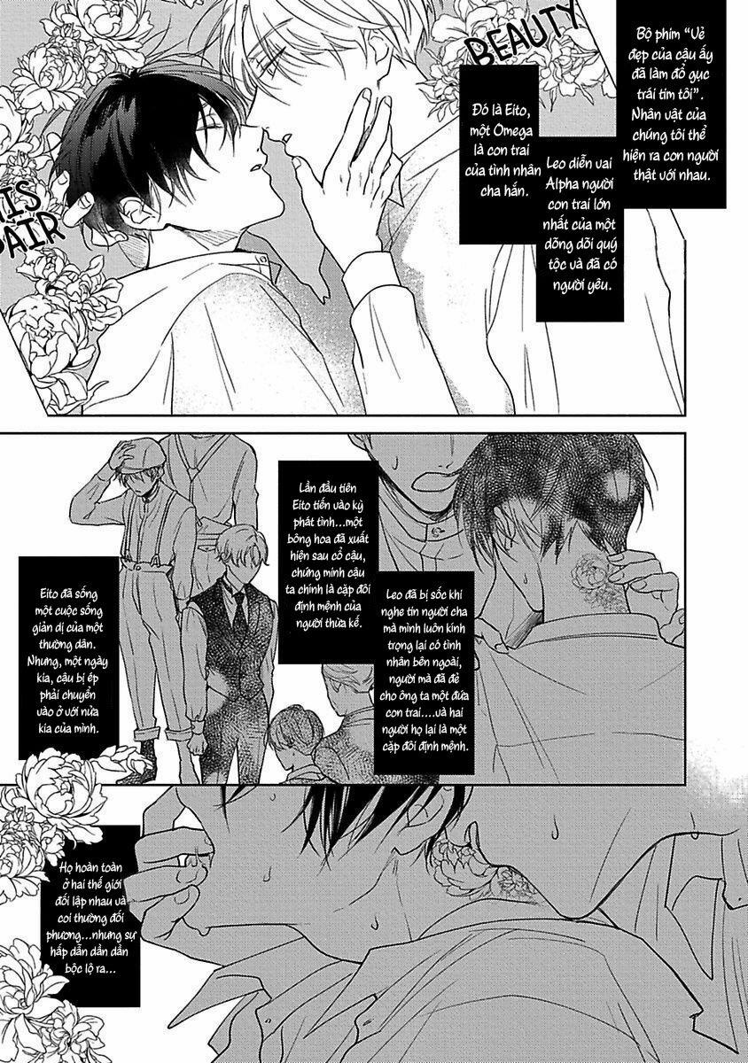 Ore No Tsugai Ha Thoroughbread Omega 1 trang 18