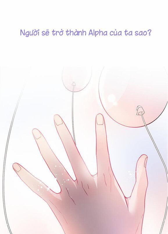 Oxy Gây Chết Người 1 trang 10