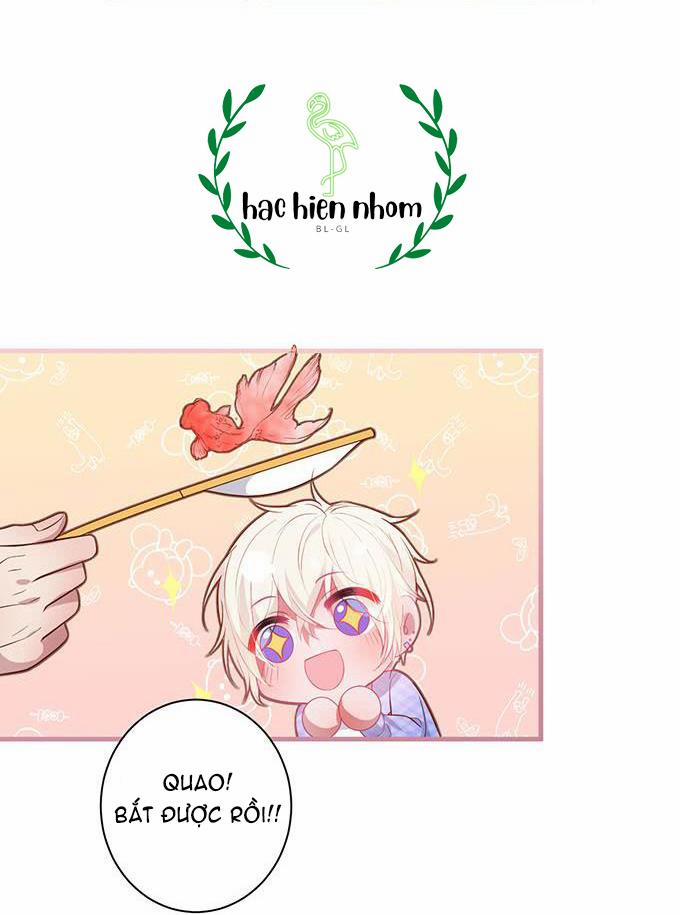 Oxy Gây Chết Người 27 trang 6