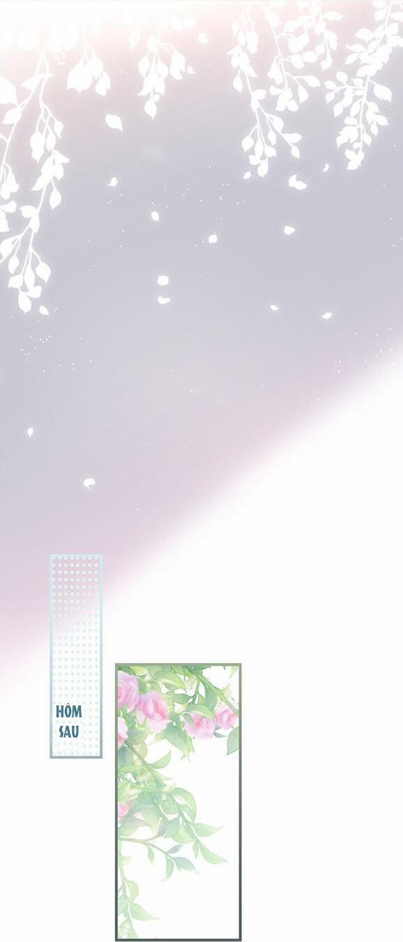 Oxy Gây Chết Người 31 trang 15