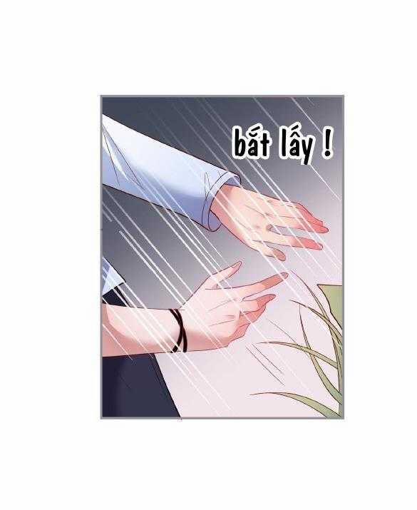 Oxy Gây Chết Người 59 trang 29