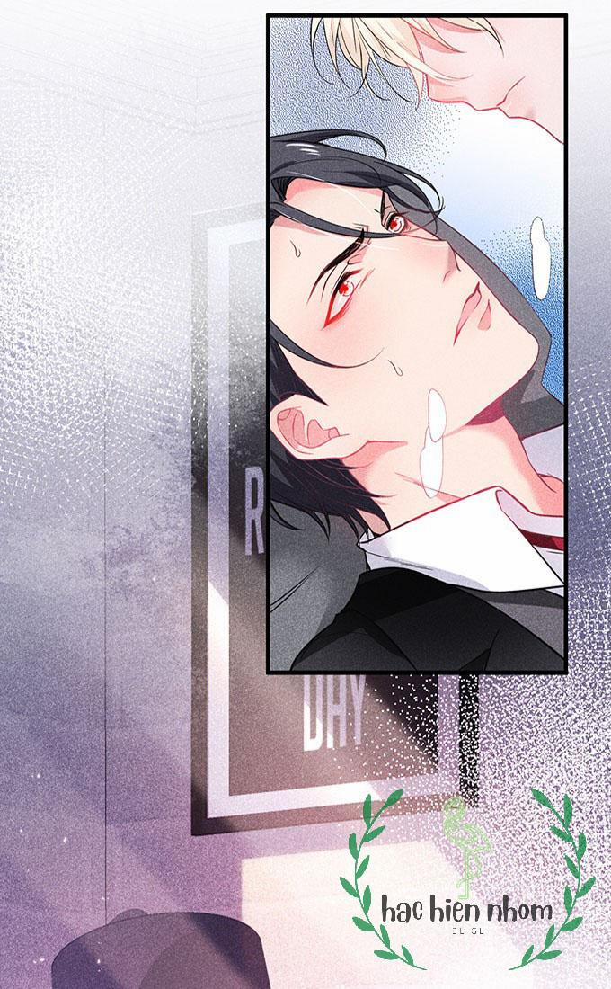 Oxy Gây Chết Người 8 trang 1