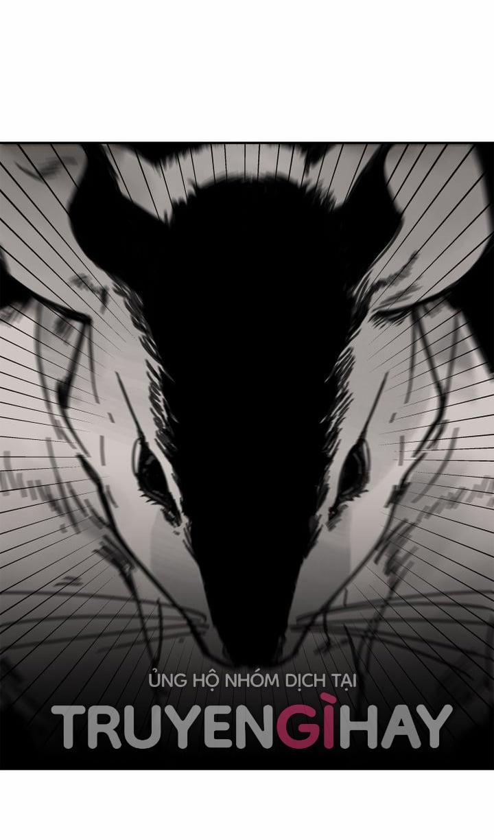 Paljae, Đứa Trẻ Của Mùa Đông 10.2 trang 5