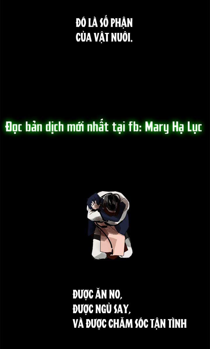 Paljae, Đứa Trẻ Của Mùa Đông 13.2 trang 43