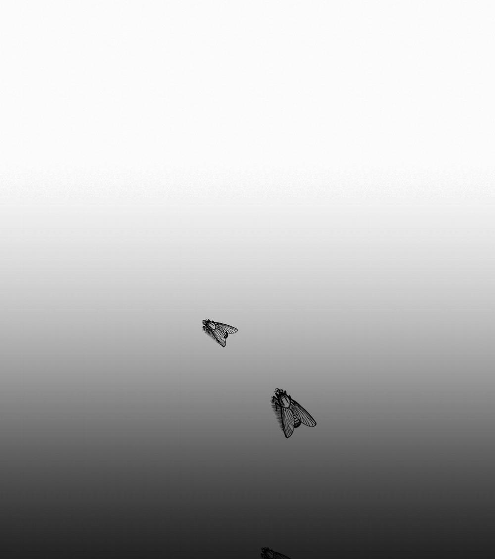 Paljae, Đứa Trẻ Của Mùa Đông 56.2 trang 12