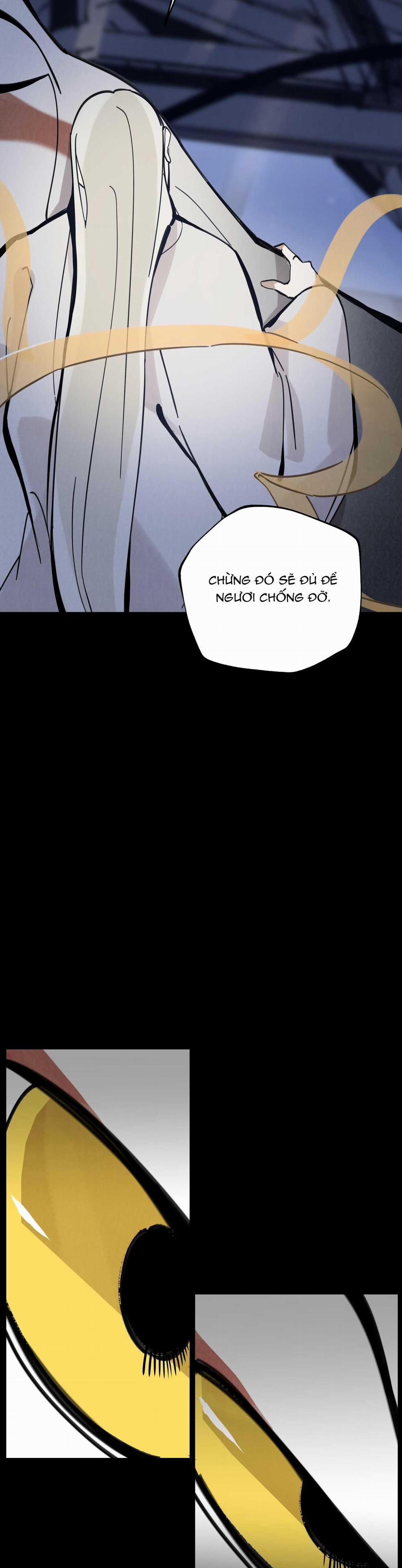 Paljae 110 trang 17
