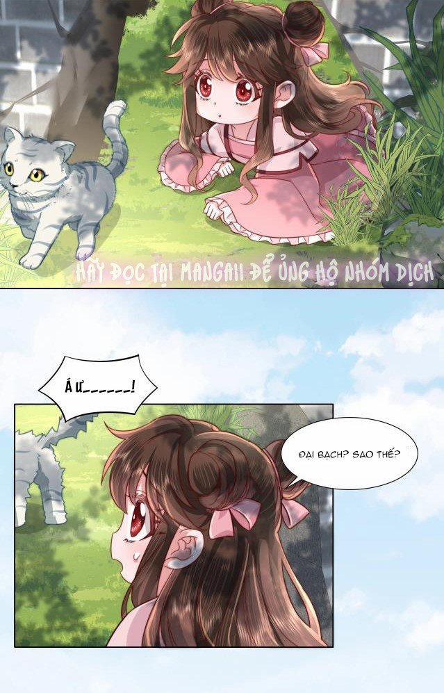 Papa Bạo Quân! Người Chạy Đâu Cho Thoát?! 10 trang 10