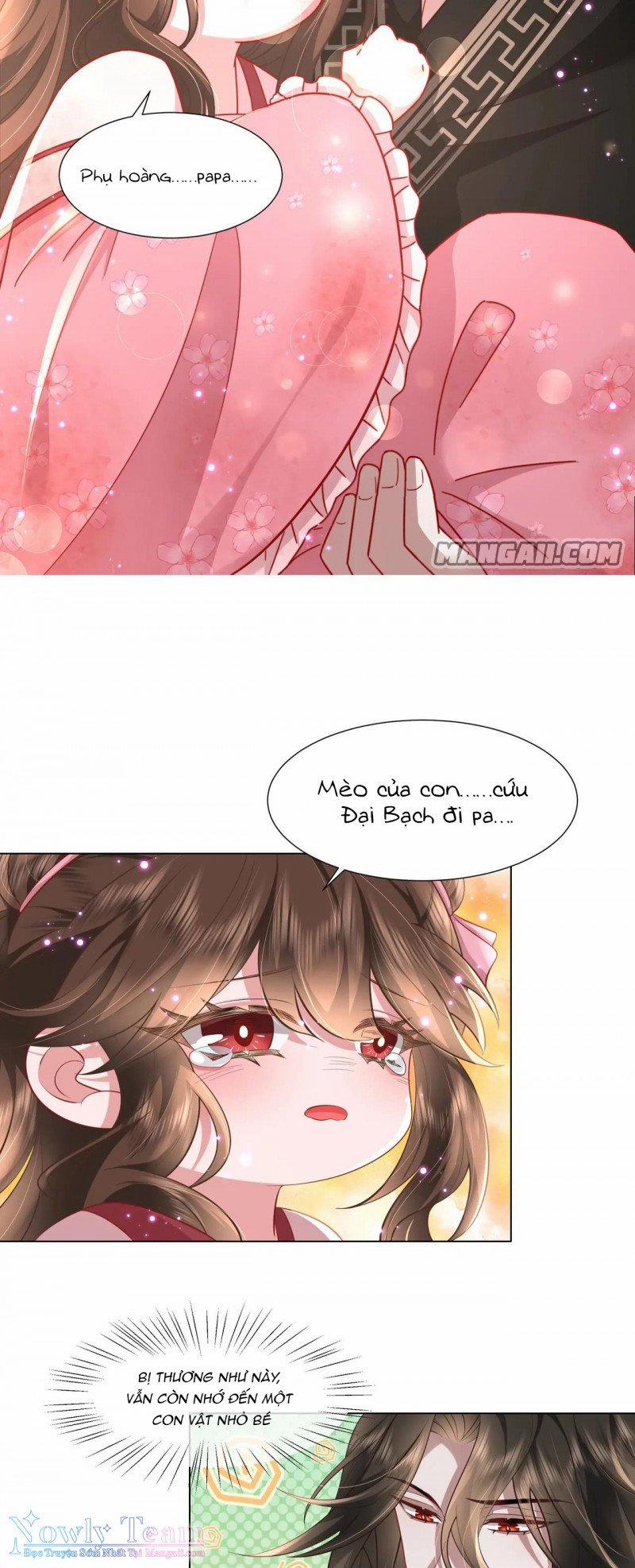 Papa Bạo Quân! Người Chạy Đâu Cho Thoát?! 13 trang 8