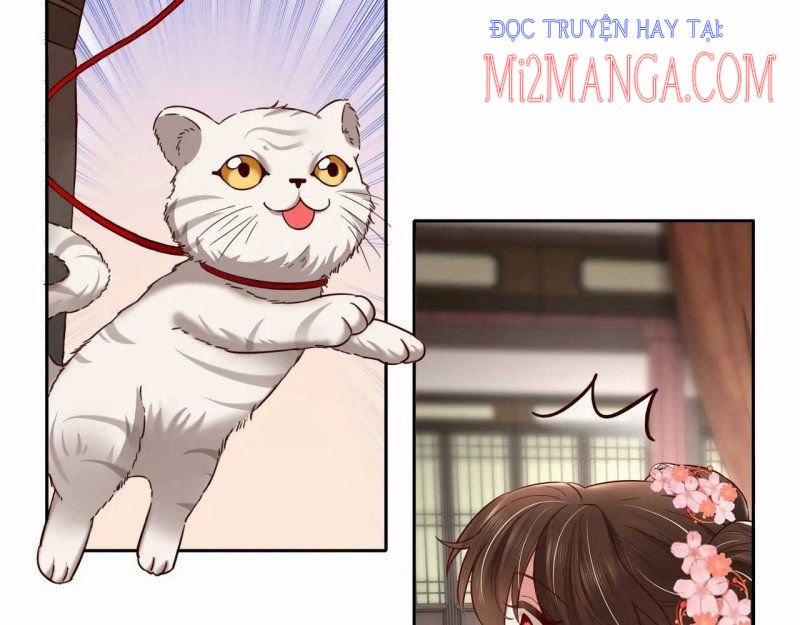 Papa Bạo Quân! Người Chạy Đâu Cho Thoát?! 24 trang 21