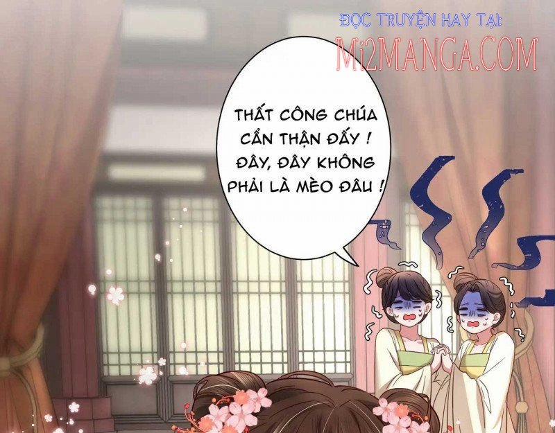 Papa Bạo Quân! Người Chạy Đâu Cho Thoát?! 24 trang 23