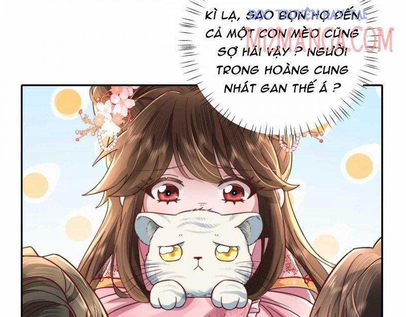 Papa Bạo Quân! Người Chạy Đâu Cho Thoát?! 24 trang 38