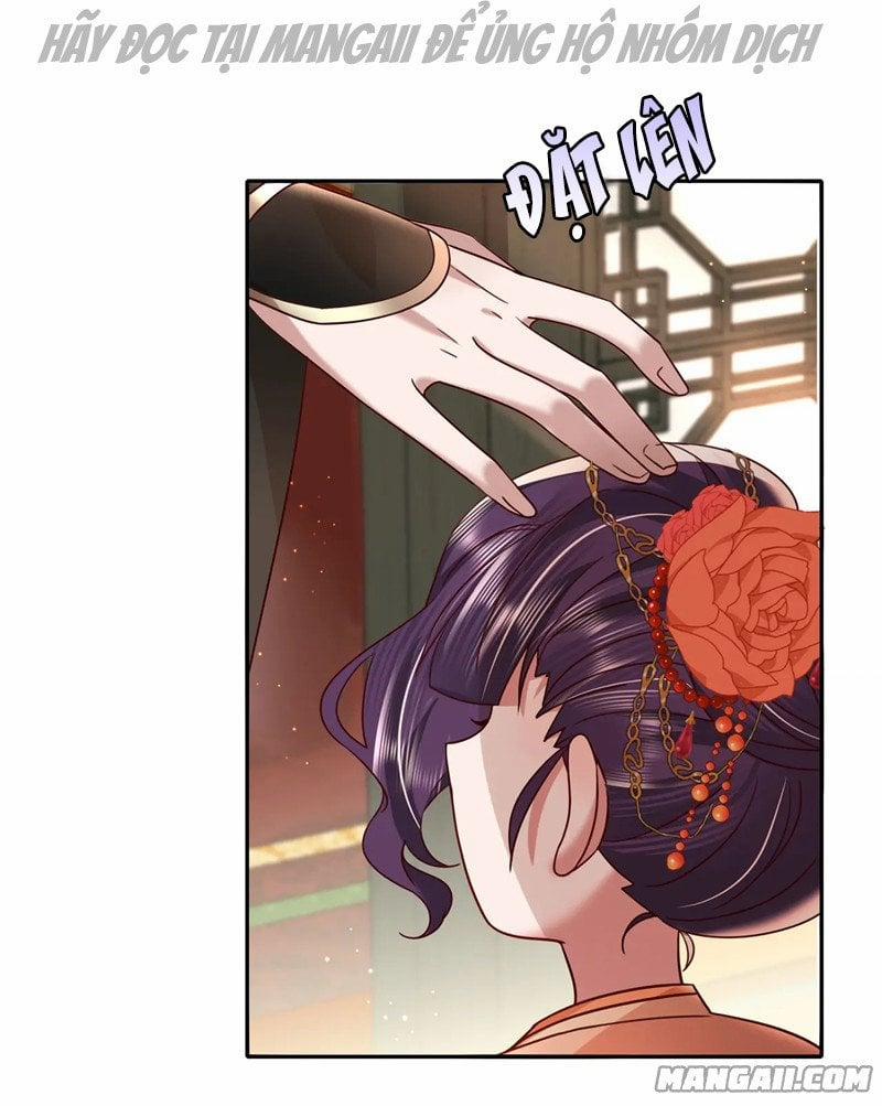 Papa Bạo Quân! Người Chạy Đâu Cho Thoát?! 26 trang 3