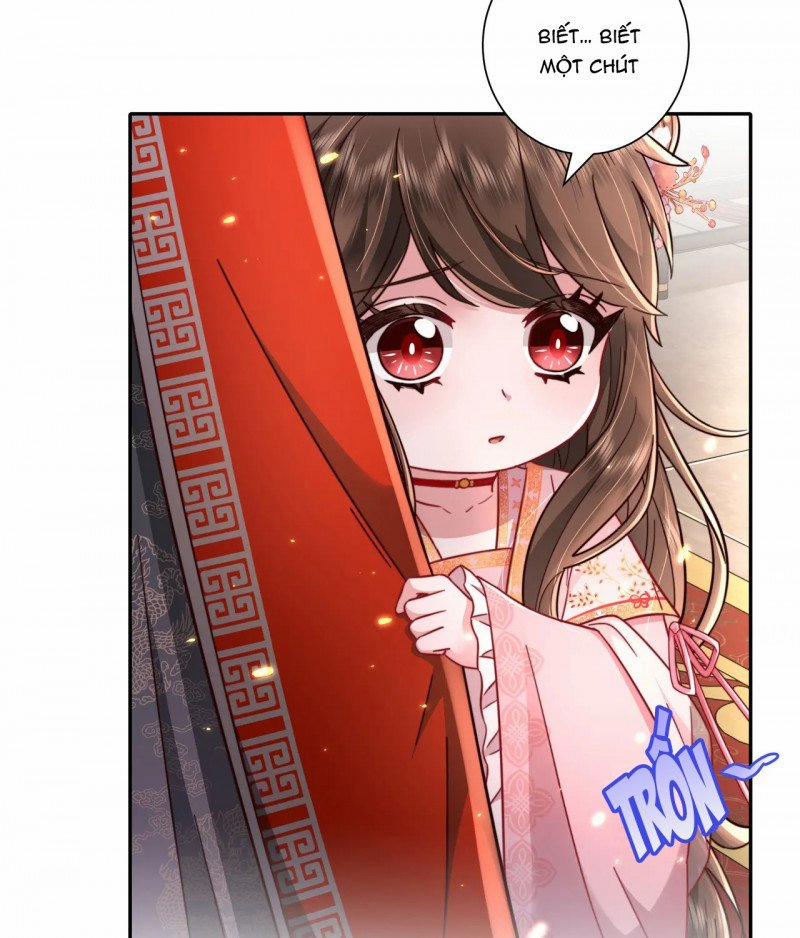 Papa Bạo Quân! Người Chạy Đâu Cho Thoát?! 33 trang 10