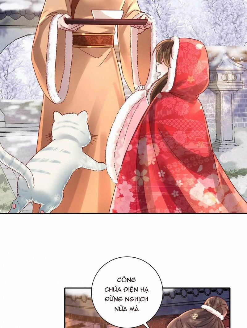 Papa Bạo Quân! Người Chạy Đâu Cho Thoát?! 37 trang 11