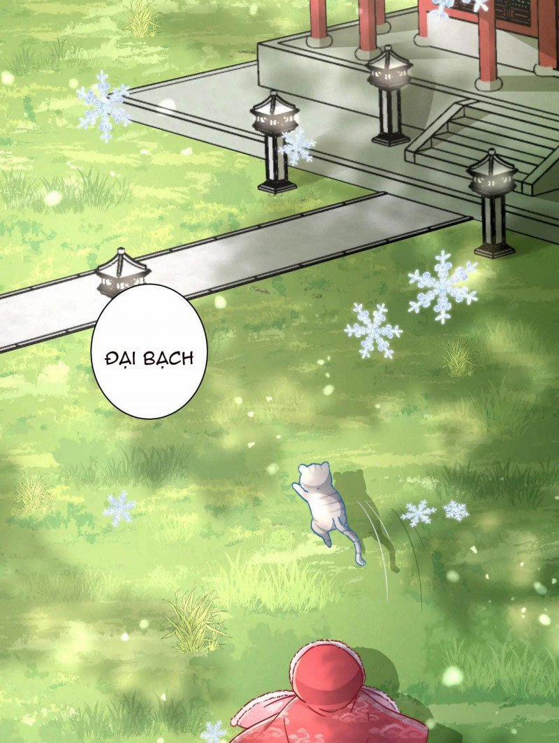 Papa Bạo Quân! Người Chạy Đâu Cho Thoát?! 37 trang 4