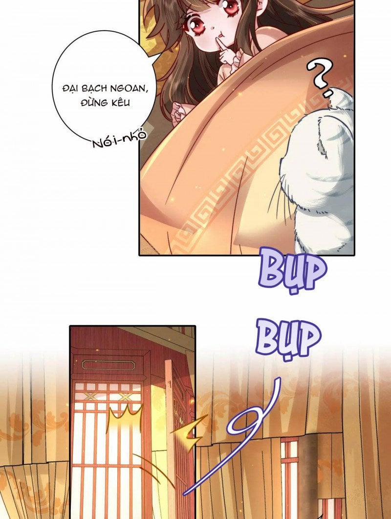 Papa Bạo Quân! Người Chạy Đâu Cho Thoát?! 38 trang 9