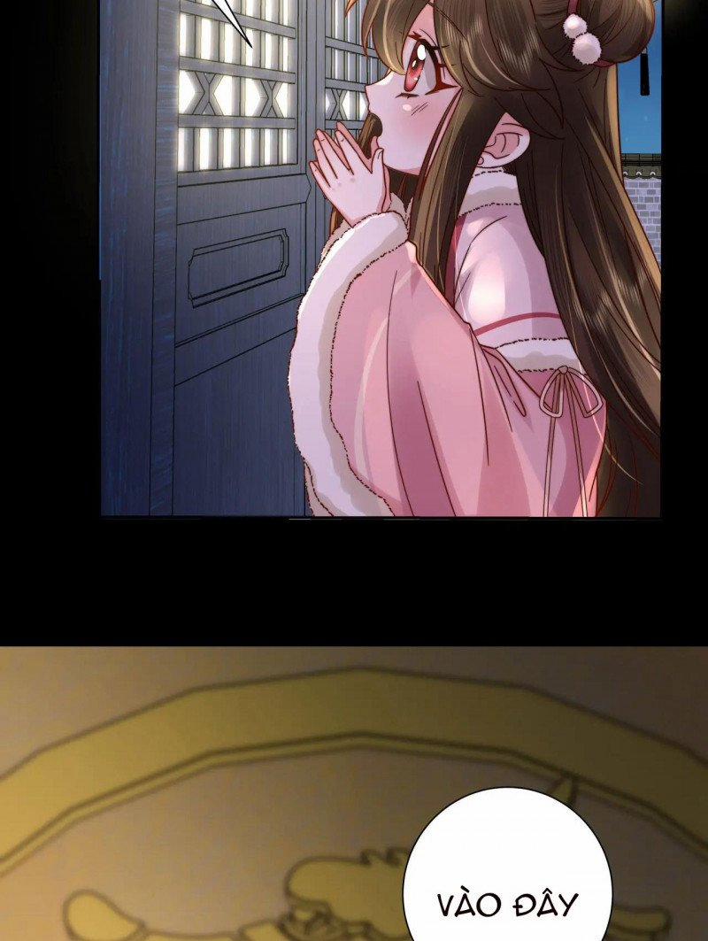 Papa Bạo Quân! Người Chạy Đâu Cho Thoát?! 42 trang 12