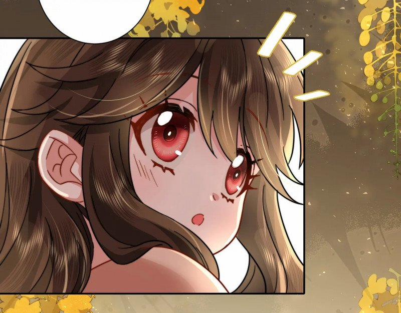 Papa Bạo Quân! Người Chạy Đâu Cho Thoát?! 48 trang 12