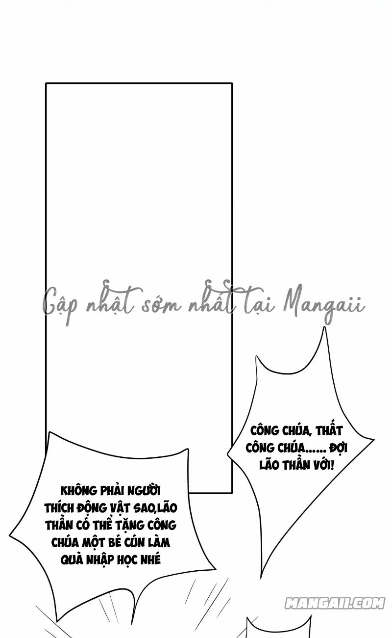 Papa Bạo Quân! Người Chạy Đâu Cho Thoát?! 51 trang 19