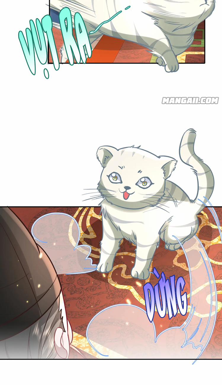 Papa Bạo Quân! Người Chạy Đâu Cho Thoát?! 56 trang 16