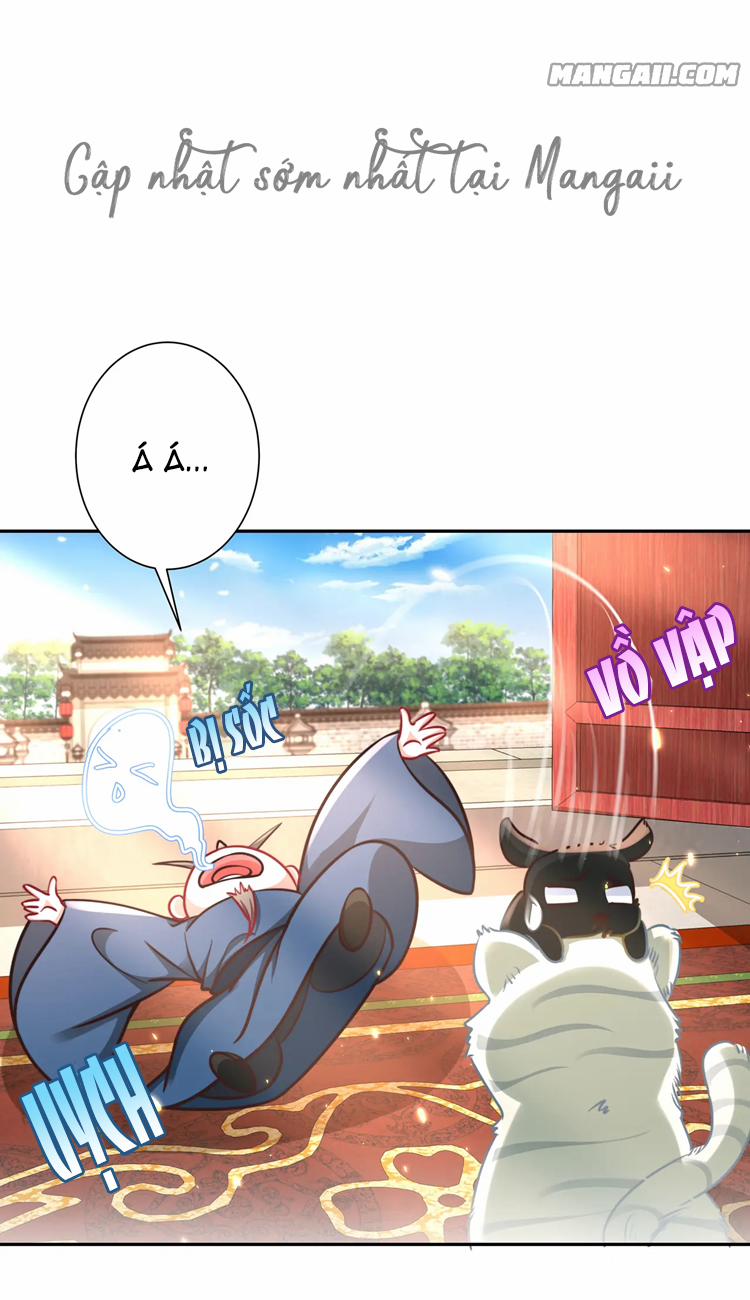 Papa Bạo Quân! Người Chạy Đâu Cho Thoát?! 57 trang 2