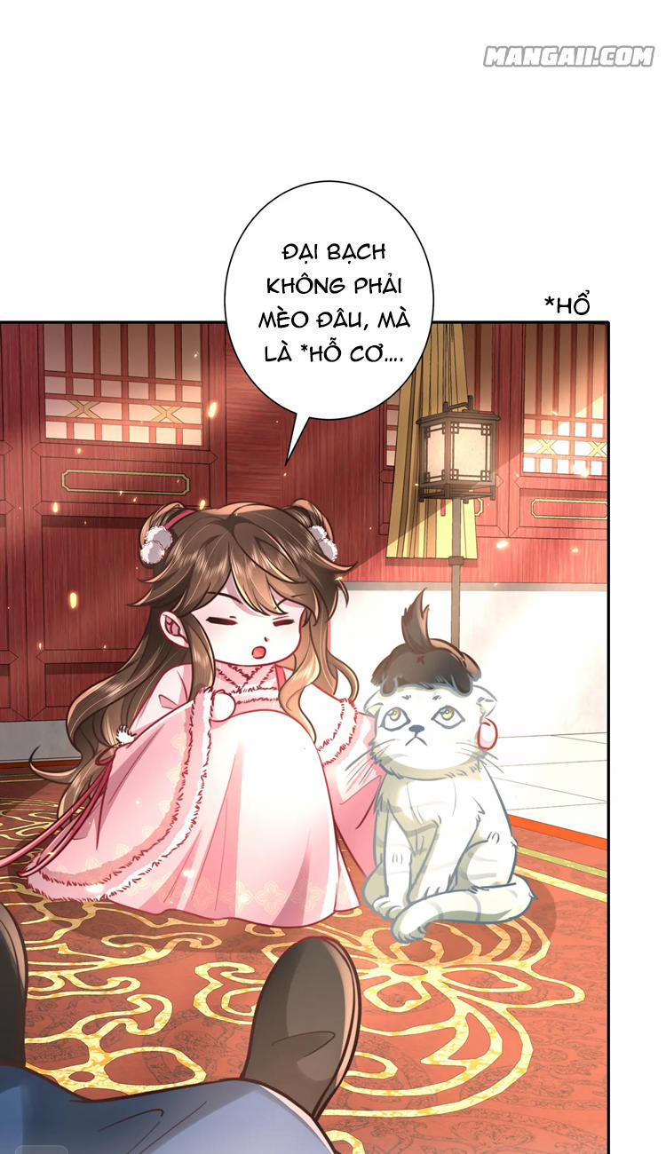 Papa Bạo Quân! Người Chạy Đâu Cho Thoát?! 57 trang 3