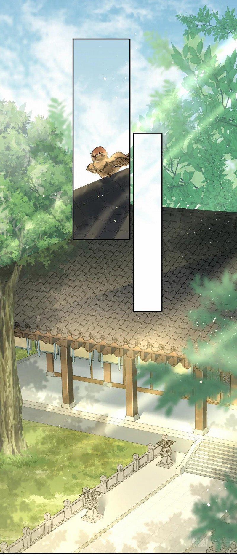 Papa Bạo Quân! Người Chạy Đâu Cho Thoát?! 64 trang 1