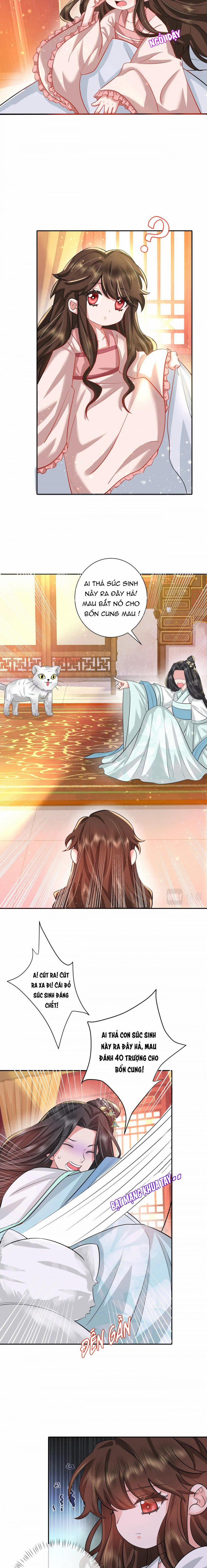 Papa Bạo Quân! Người Chạy Đâu Cho Thoát?! 82 trang 2