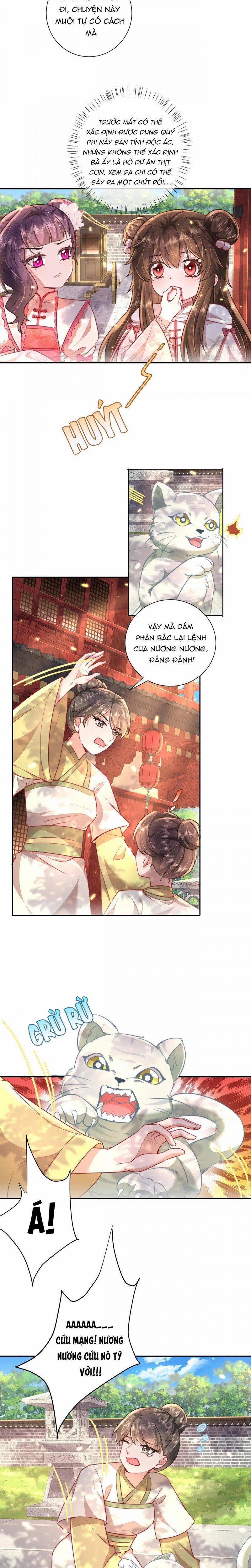 Papa Bạo Quân! Người Chạy Đâu Cho Thoát?! 86 trang 1