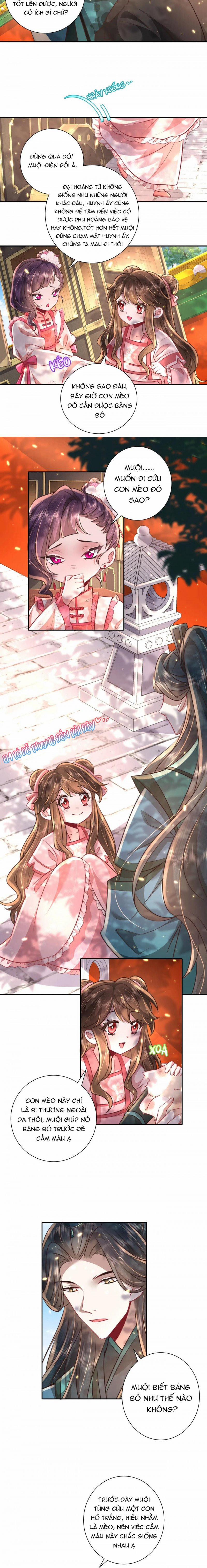 Papa Bạo Quân! Người Chạy Đâu Cho Thoát?! 92 trang 2