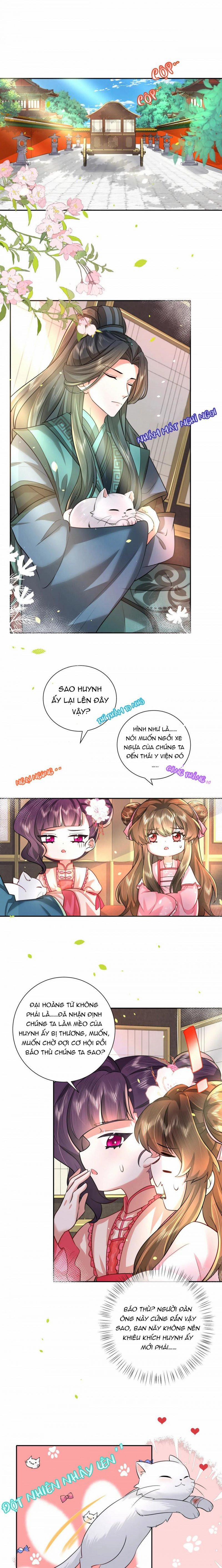 Papa Bạo Quân! Người Chạy Đâu Cho Thoát?! 93 trang 1