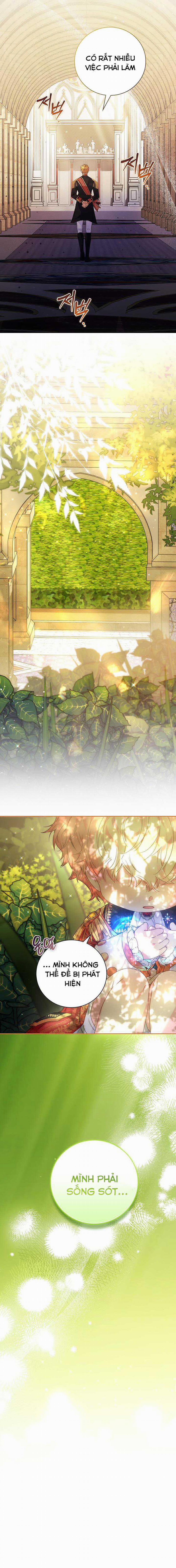 Papa Là Kẻ Thù Kiếp Trước Của Tôi? 10 trang 15