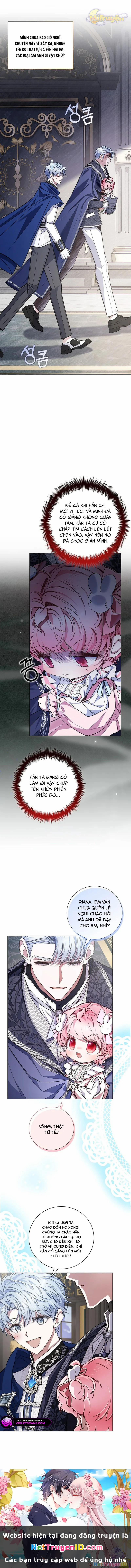 Papa Là Kẻ Thù Kiếp Trước Của Tôi? 44 trang 11