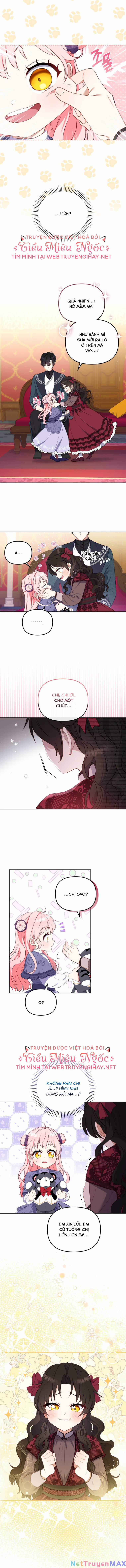 Papa Tôi Là Bạo Chúa Ác Ma 12 trang 12