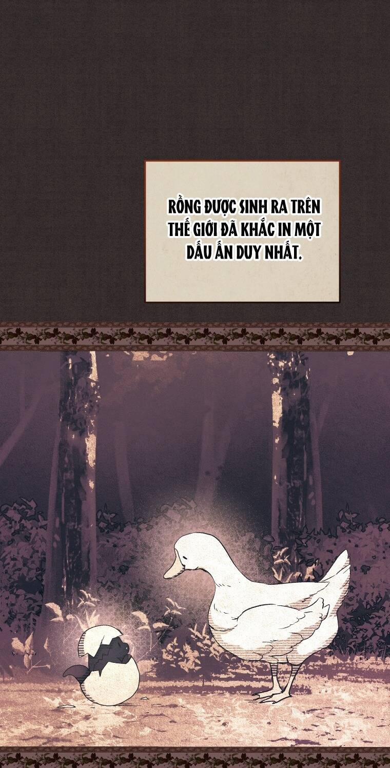 Papa Tôi Là Bạo Chúa Ác Ma 56 trang 42