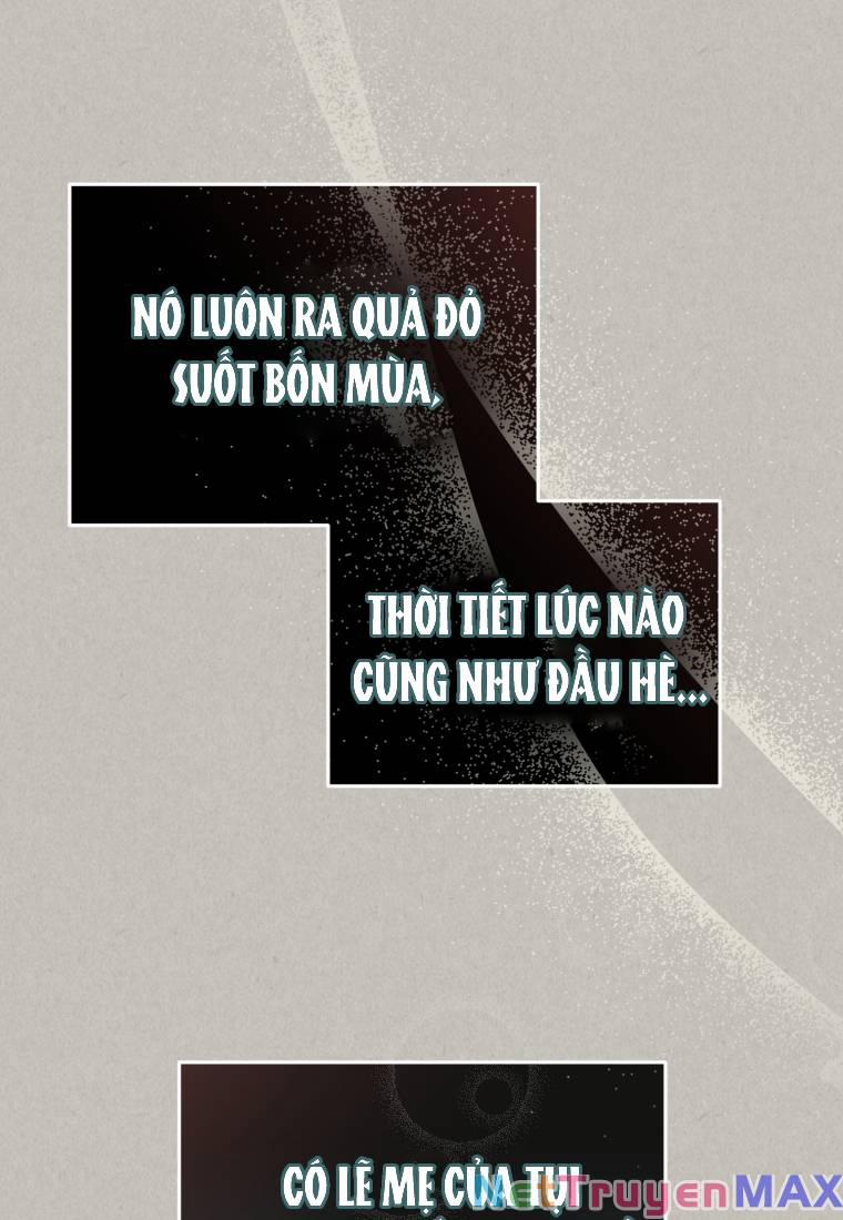 Papa Tôi Là Bạo Chúa Ác Ma 9 trang 55