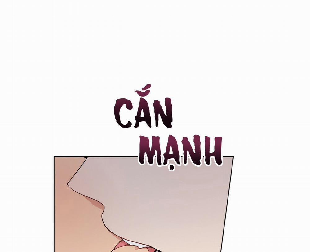 Passion Bl 37 trang 42