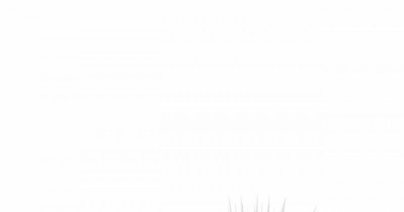 Passion Bl 53.5 trang 117