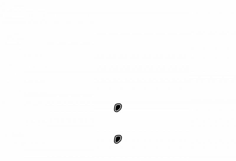 Passion Bl 53.5 trang 2