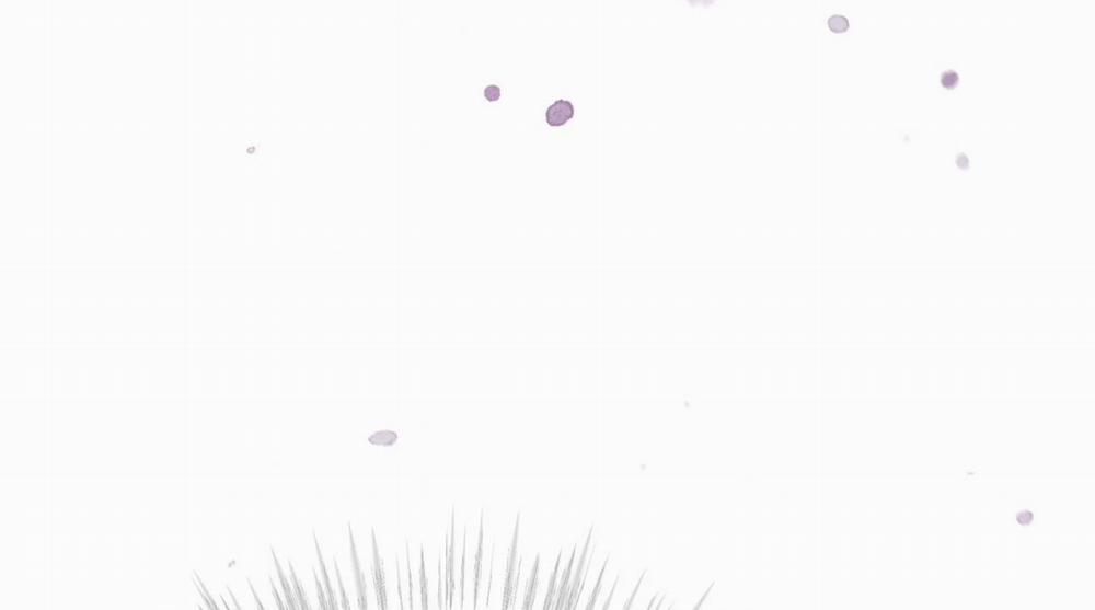 Passion Bl 55 trang 41